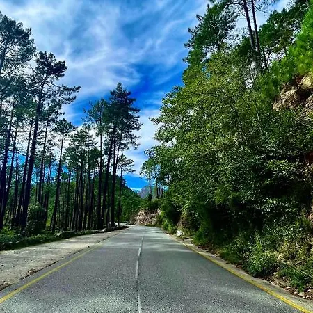 Les Pavillons Du Golfe 3* Favone