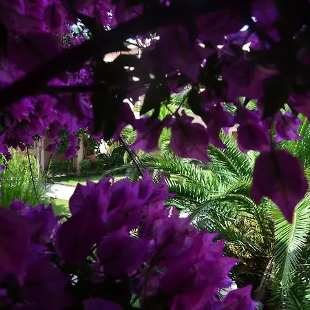 Les Pavillons Du Golfe 3* Favone