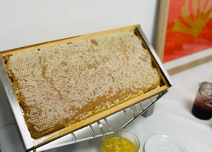 Hotel Les Pavillons Du Golfe Favone