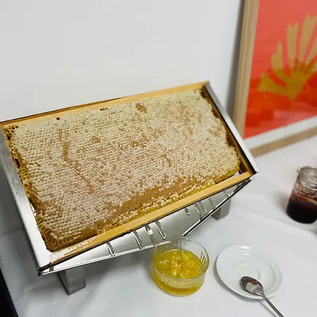 酒店 海湾亭酒店 法翁