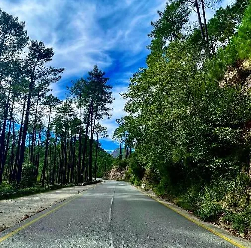 Les Pavillons Du Golfe 3* Favone