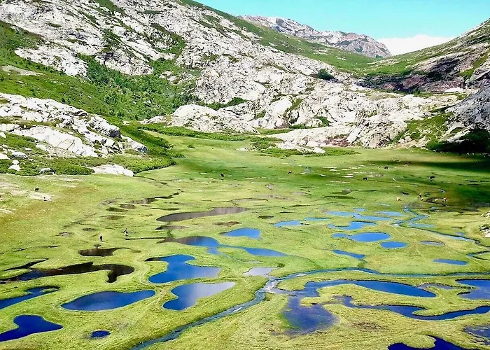 Les Pavillons Du Golfe 3*